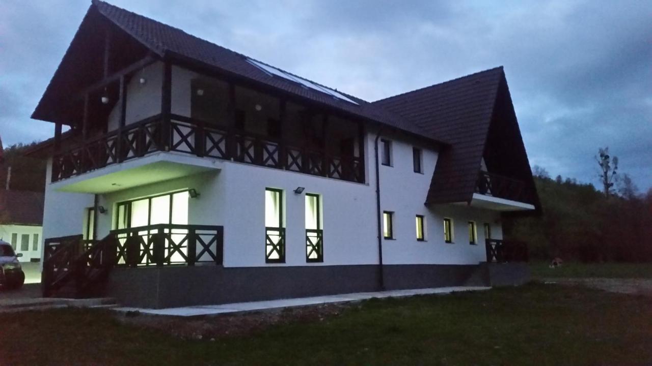 Pensiunea Steaua Nordului Vanatori  Buitenkant foto