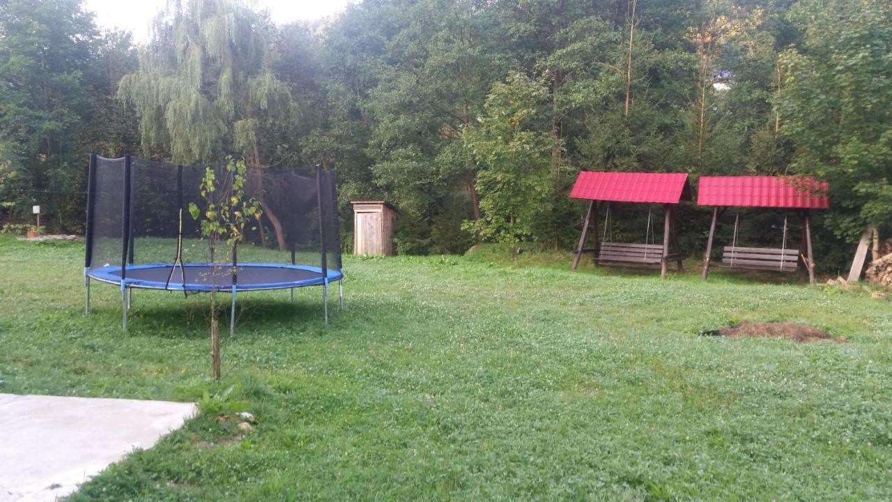 Pensiunea Steaua Nordului Vanatori  Buitenkant foto