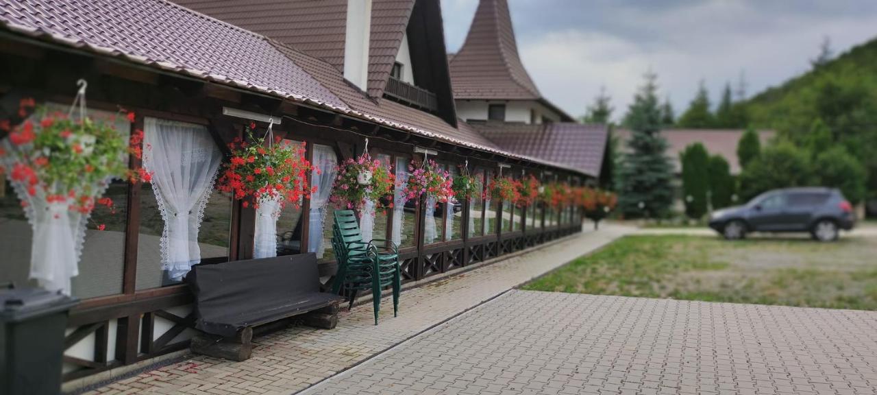 Pensiunea Steaua Nordului Vanatori  Buitenkant foto