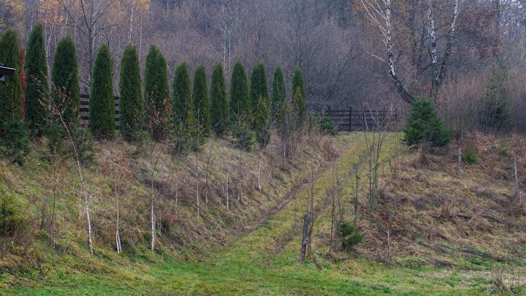Pensiunea Steaua Nordului Vanatori  Buitenkant foto
