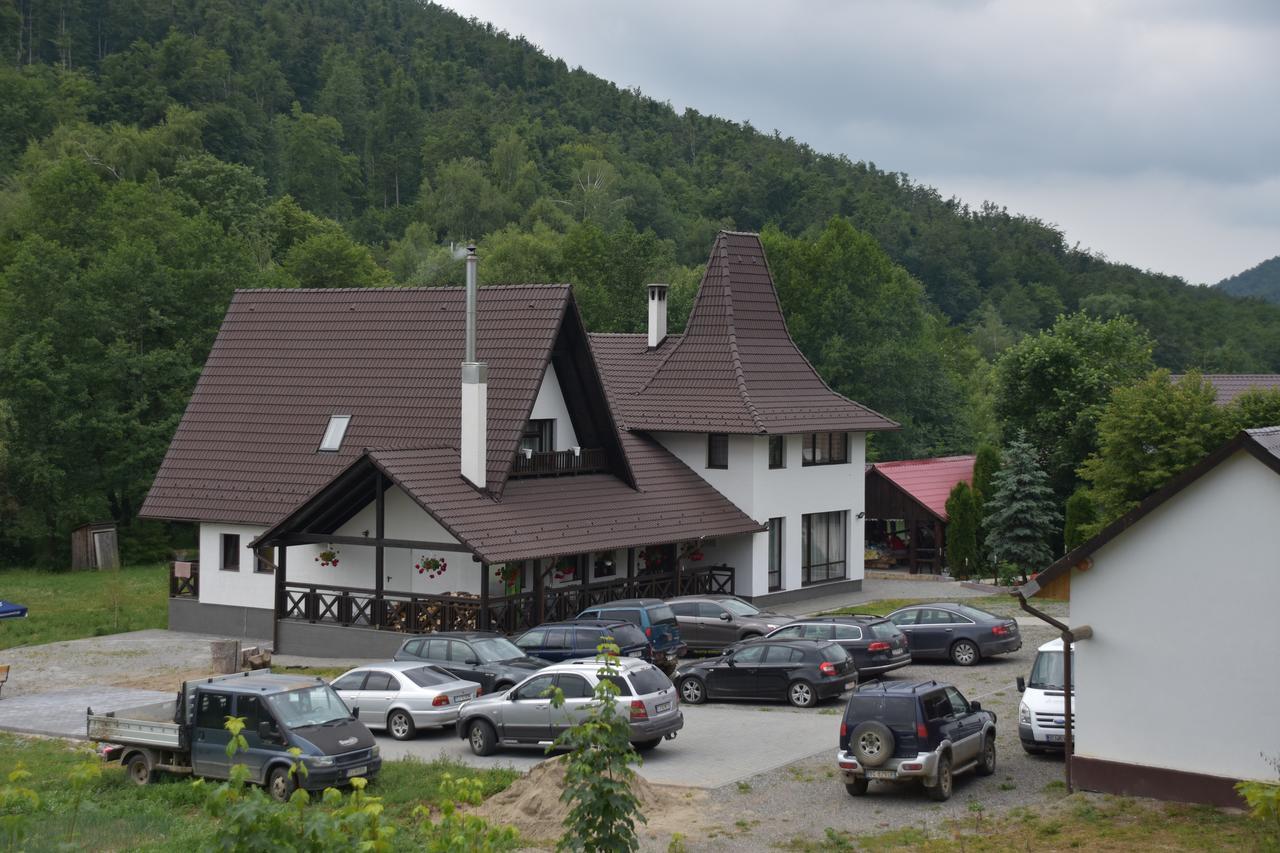 Pensiunea Steaua Nordului Vanatori  Buitenkant foto